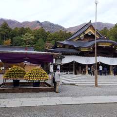 投稿日:2019年11月22日 写真