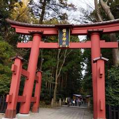 投稿日:2019年11月22日 写真