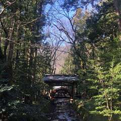 投稿日:2024年1月8日 写真