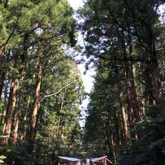 投稿日:2024年1月8日 写真