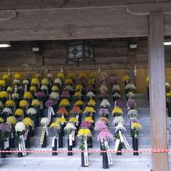 投稿日:2019年11月22日 写真