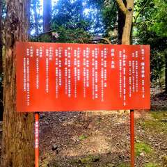 投稿日:2025年8月6日 写真