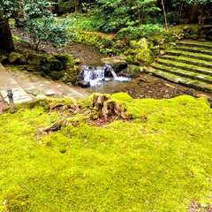 投稿日:2025年8月6日 写真