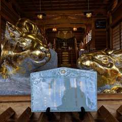 投稿日:2019年10月22日 写真