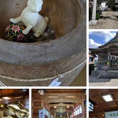 投稿日:2019年10月22日 写真