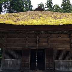 苔むしたお堂(投稿日:2017年6月24日) 写真
