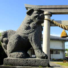 写真