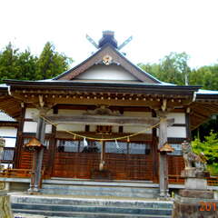 写真