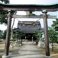 投稿日:2025年7月5日 写真