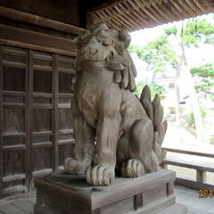 投稿日:2025年7月5日 写真