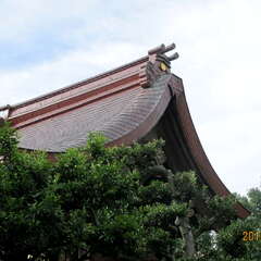 投稿日:2025年7月5日 写真