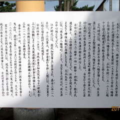 投稿日:2025年7月5日 写真