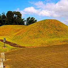 医王院裏、古墳(投稿日:2019年10月27日) 写真