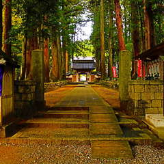 立山寺 富山県中新川郡上市町眼目15(投稿日:2020年1月12日) 写真