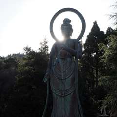 護国寺 聖観音像(投稿日:2017年12月11日) 写真