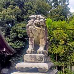 投稿日:2025年11月21日 写真