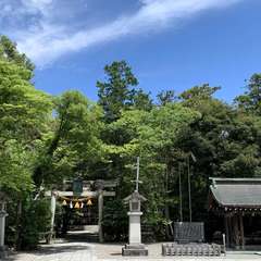 投稿日:2024年7月3日 写真