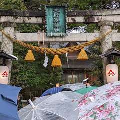 投稿日:2022年1月2日 写真