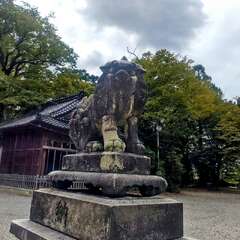 投稿日:2025年11月21日 写真