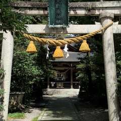 投稿日:2022年8月31日 写真