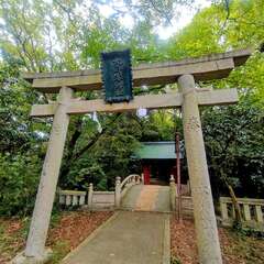 投稿日:2025年11月21日 写真