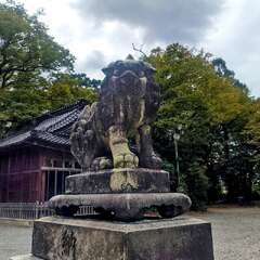 投稿日:2025年11月21日 写真