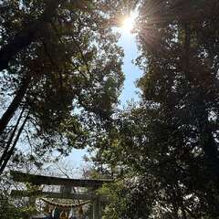 投稿日:2025年4月7日 写真