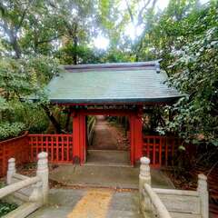 投稿日:2025年11月21日 写真