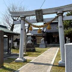 写真