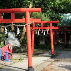 投稿日:2015年10月12日 写真