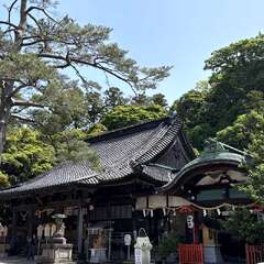 写真