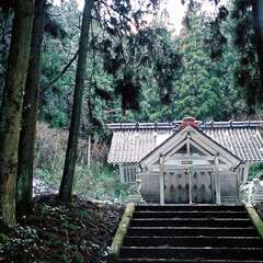 御門主比古神社(投稿日:2025年10月16日) 写真