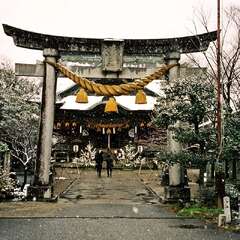 大地主神社(投稿日:2025年10月13日) 写真