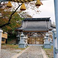 写真