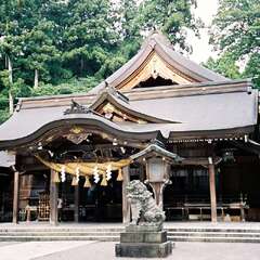 投稿日:2025年10月17日 写真