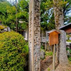 投稿日:2025年11月20日 写真