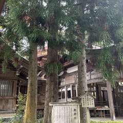 投稿日:2024年11月17日 写真