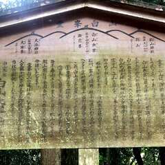 投稿日:2025年9月20日 写真