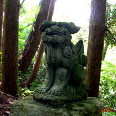 投稿日:2025年8月8日 写真