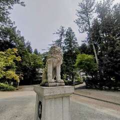 投稿日:2025年11月20日 写真