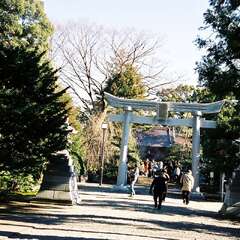 投稿日:2025年10月13日 写真