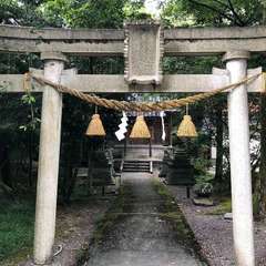 投稿日:2022年9月8日 写真