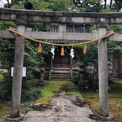 投稿日:2022年9月4日 写真