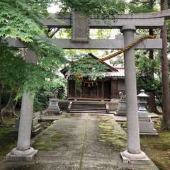 投稿日:2022年9月3日 写真