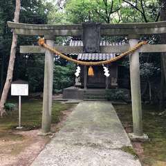 投稿日:2022年9月2日 写真