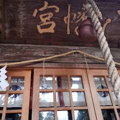 投稿日:2020年1月23日 写真