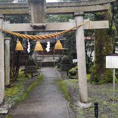 投稿日:2020年1月23日 写真