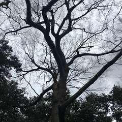 投稿日:2023年2月24日 写真