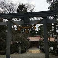 投稿日:2023年2月24日 写真