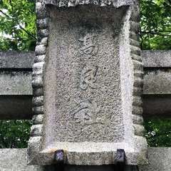 投稿日:2022年9月8日 写真